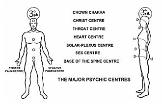 The locations of the chakras or psychic centres