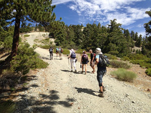 Pilgrims hiking up Holy Mt. Baldy in Southern California.